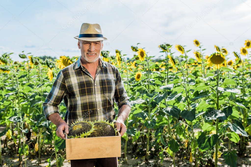 cheerful self-employed man holding box with sunflowers 
