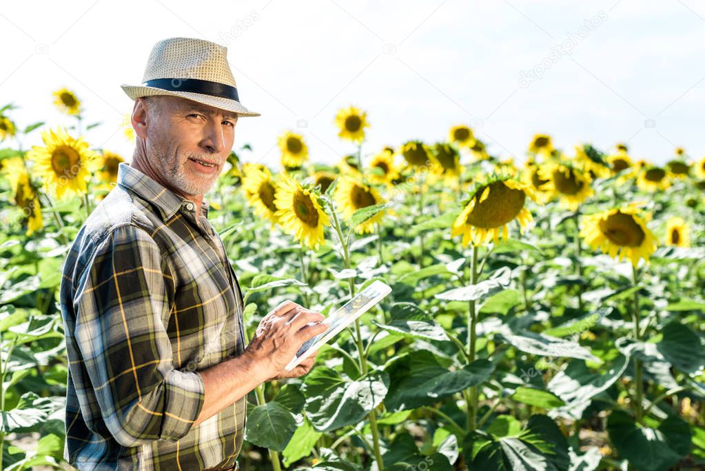 happy self-employed  farmer using digital tablet near field with sunflowers 