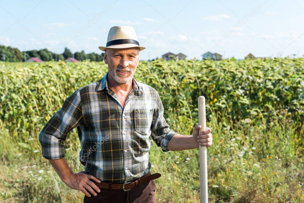 cheerful self-employed man holding rack near green field 