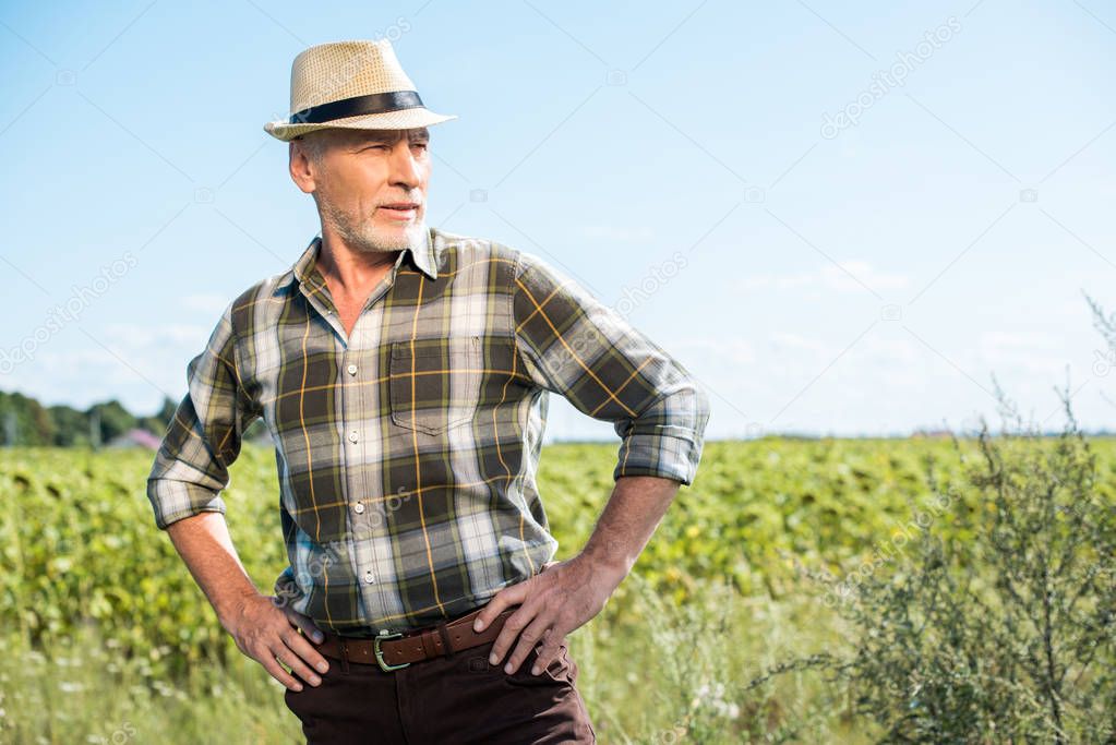 senior farmer in straw hat standing with hands on hips in field 