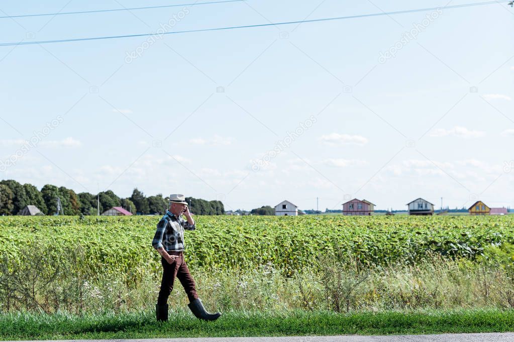 bearded self-employed farmer talking on smartphone while walking in field