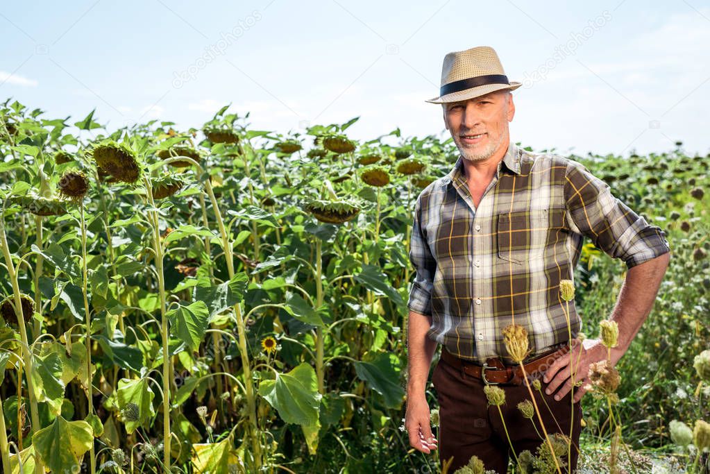 happy farmer in straw hat standing with hand on hip near sunflowers 