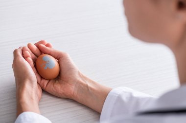 selective focus of doctor holding egg with baby silhouette near table  clipart