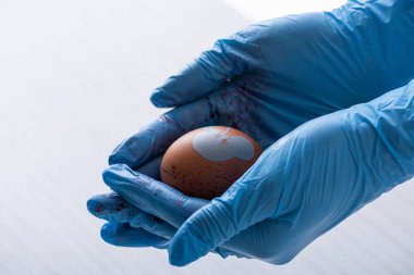 cropped view of doctor in latex gloves holding egg with baby silhouette  clipart