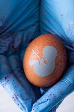 cropped view of doctor in latex gloves holding egg with baby silhouette  clipart