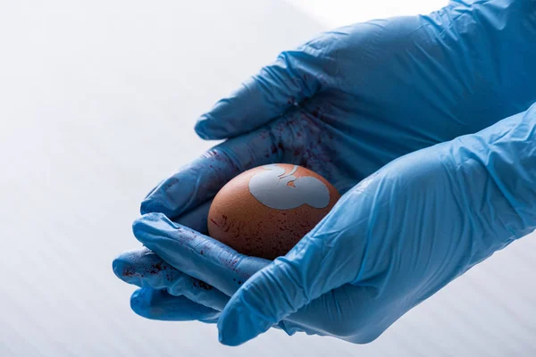 Vista Recortada Del Médico Guantes Látex Sosteniendo Huevo Con Silueta — Foto de Stock