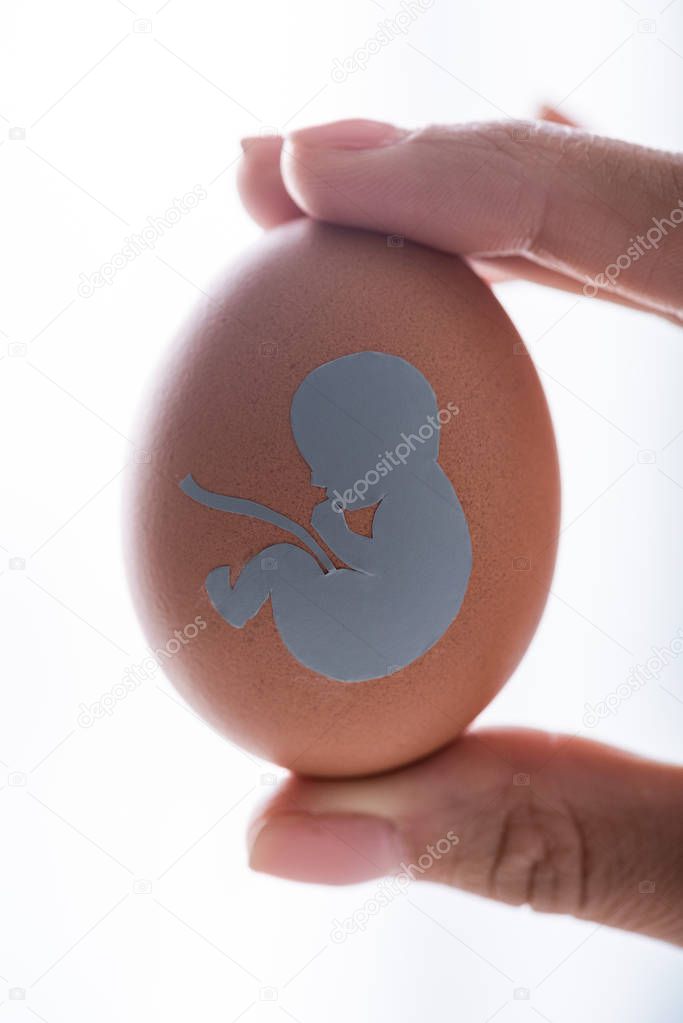 cropped view of woman holding egg with baby silhouette 