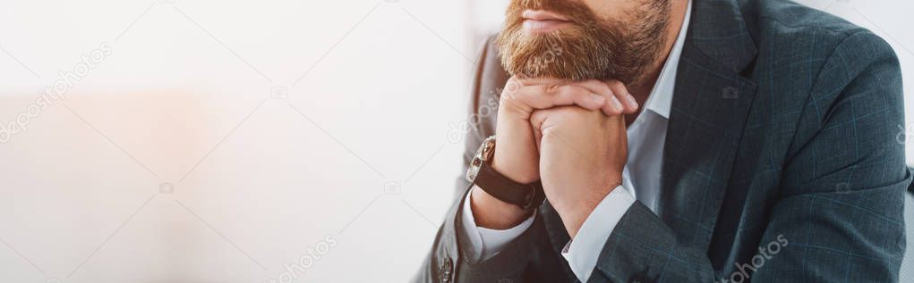 panoramic shot of businessman in formal wear in office 