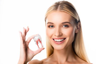 beyaz üzerinde izole diş modeli tutan beyaz dişleri ile gülümseyen kadın
