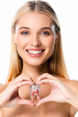 naked smiling blonde woman holding tooth model isolated on white clipart