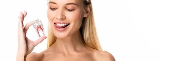 Панорамний Знімок Гола Жінка Білими Зубами Тримає Модель Зуба Ізольовано — стокове фото