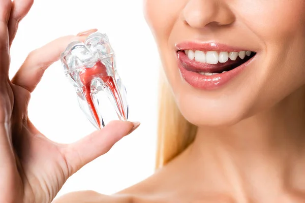 Vista Ritagliata Donna Con Denti Bianchi Che Tengono Modello Dente — Foto Stock