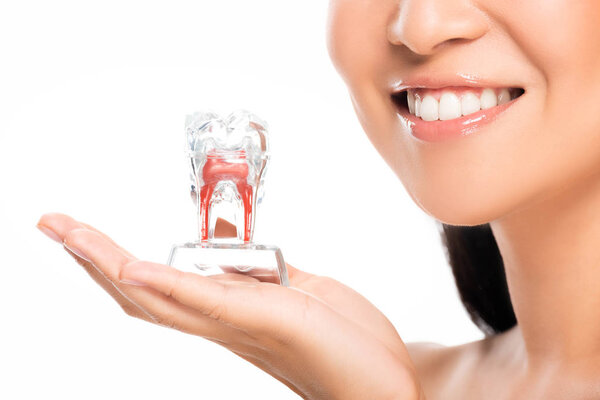 частичный вид счастливой женщины, держащей модель зуба изолированы на белом
