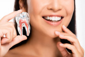 abgeschnittene Ansicht einer lächelnden Frau mit Zahnmodell isoliert auf Weiß