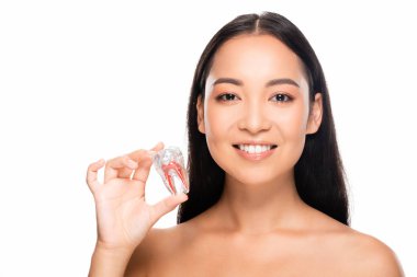 beyaz izole diş modeli tutan gülümseyen çıplak asya kadın
