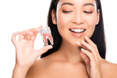 mutlu çıplak asyalı kadın beyaz izole diş modeli tutan