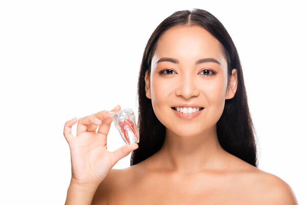 smiling naked asian woman holding tooth model isolated on white