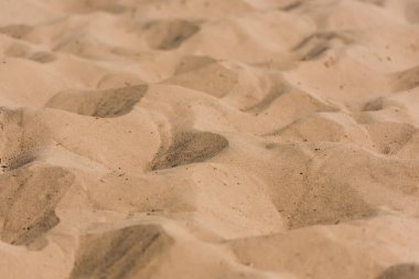 selective focus of golden wavy sand in desert  clipart
