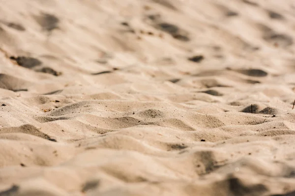 Focus Selettivo Sabbia Ondulata Dorata Nel Deserto — Foto Stock