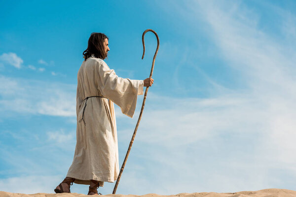 handsome bearded man holding wooden cane and walking in desert 