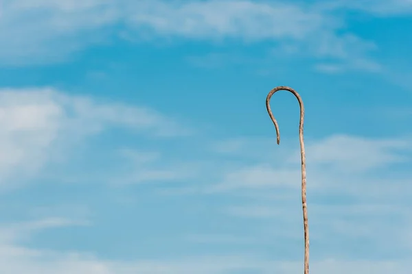 wooden cane against blue sky with white clouds and copy space