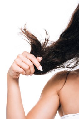 beyaz izole kıvırcık saç tutan esmer kadın kırpılmış görünümü