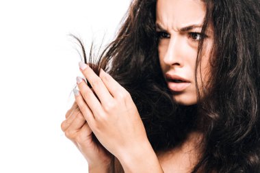 stresli esmer kadın beyaz izole hasarlı kuru saç bakıyor