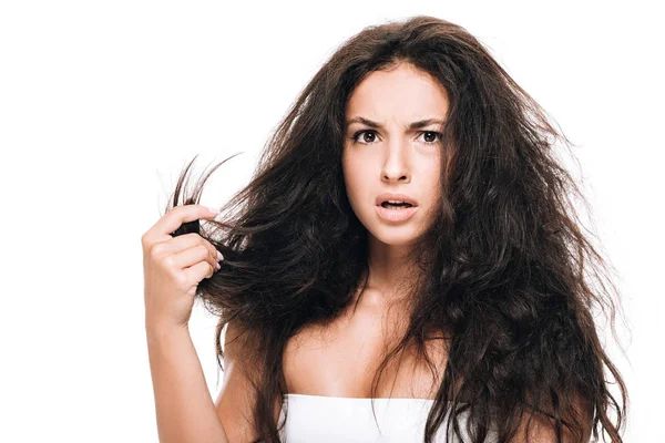 Stressed Brunette Beautiful Woman Holding Damaged Dry Hair Isolated White — Stock Photo, Image