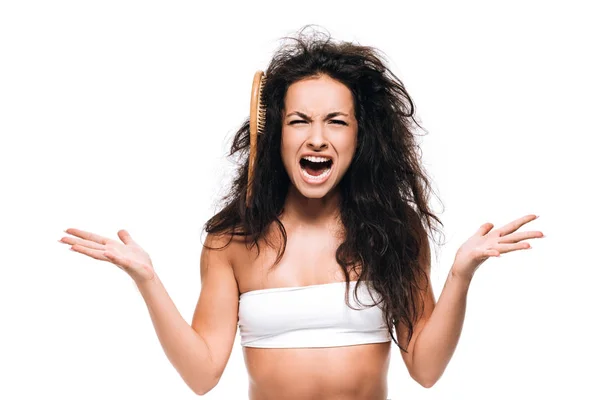 Stressed Brunette Woman Comb Unruly Curly Hair Screaming Isolated White — Stock Photo, Image