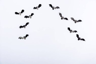 Beyaz arkaplanda dekoratif yarasalar