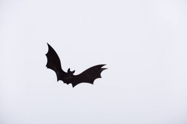 black paper bat on white background clipart
