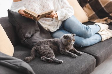 Kanepede İskoç kedisiyle kitap okuyan kız manzarası.