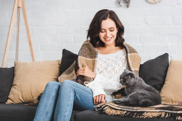 Alegre Morena Mujer Manta Sentado Sofá Con Escocés Plegable Gato — Foto de Stock