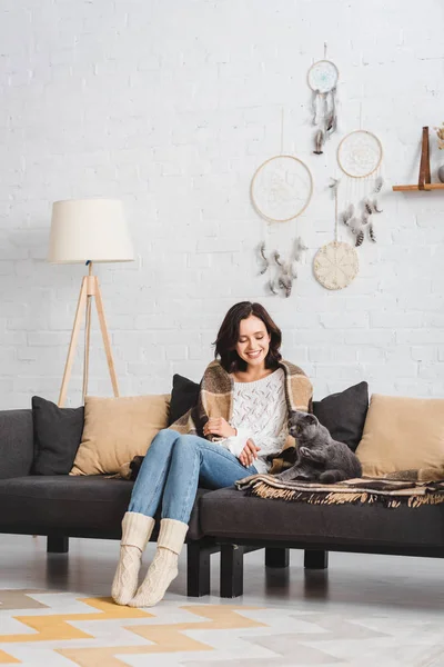 Hermosa Mujer Con Escocés Plegable Gato Sentado Sofá Sala Estar — Foto de Stock