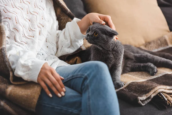 Pemandangan Terpotong Dari Wanita Dalam Selimut Duduk Sofa Dengan Kucing — Stok Foto