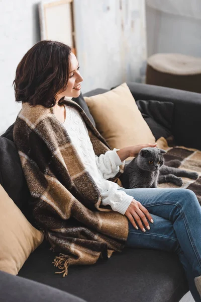 Atractiva Mujer Manta Sentado Sofá Con Gato — Foto de Stock