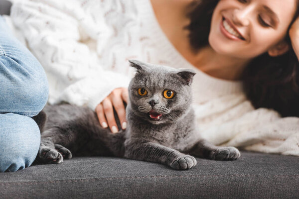 selective focus of beautiful girl lying on sofa with scottish fold cat  