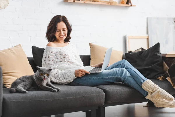 Hermosa Feliz Mujer Usando Portátil Con Escocés Plegable Gato Sofá — Foto de Stock