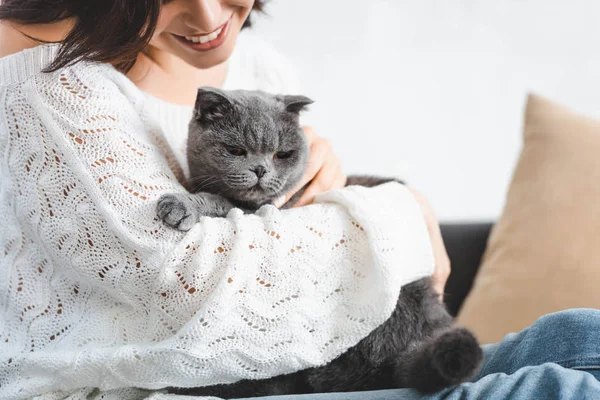 Rajattu Näkymä Onnellinen Kaunis Nainen Istuu Sohvalla Scottish Kertainen Kissa — kuvapankkivalokuva