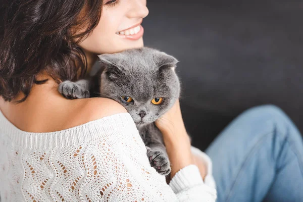 Close Woman Grey Scottish Fold Cat — Stock Photo, Image