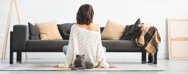 Pandangan Belakang Wanita Duduk Lantai Dengan Kucing Lipat Skotlandia — Stok Foto