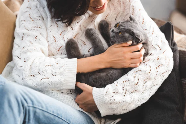 Beskärd Utsikt Över Ung Kvinna Med Söt Skotsk Veck Katt — Stockfoto