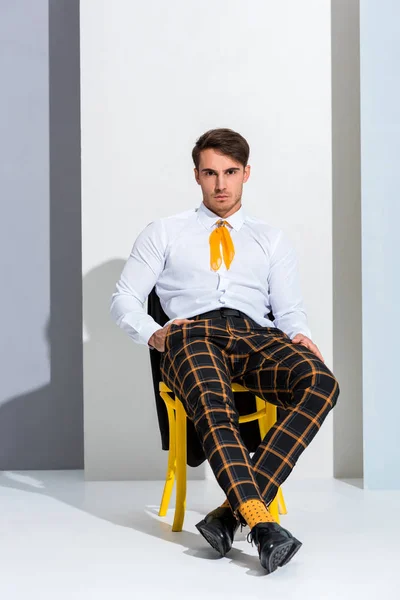 Handsome Man Posing While Sitting Chair White Grey — Stock Photo, Image