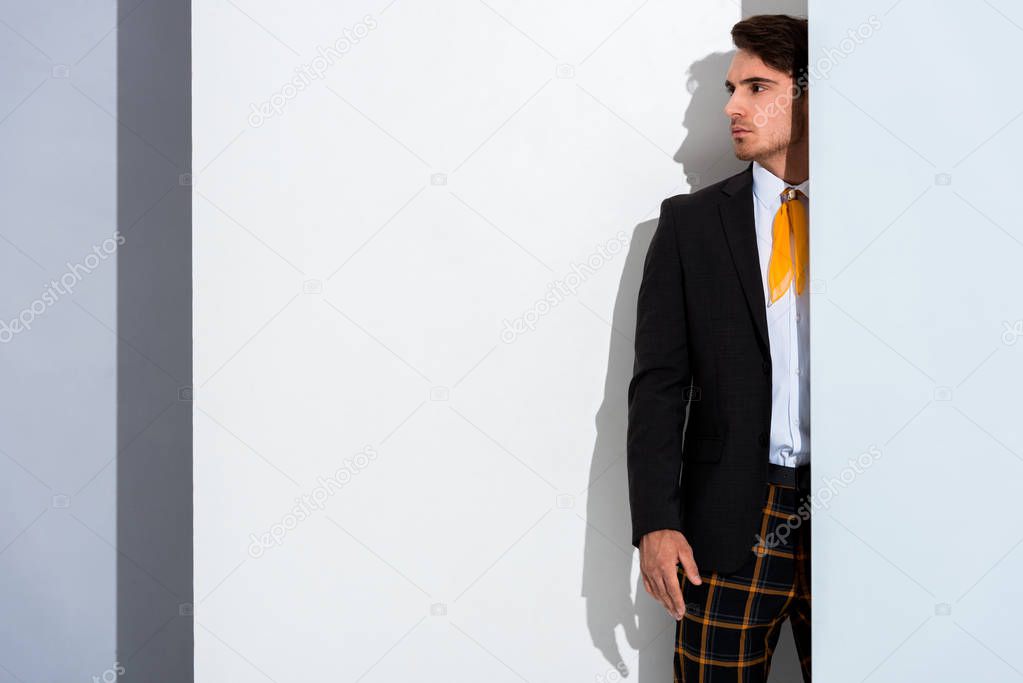 trendy man in stylish formal wear on white and grey