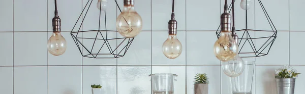 现代厨房中装饰元素 盆栽植物和罐子附近灯泡的全景概念 — 图库照片