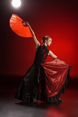 Zarif flamenko dansçısı elbiseye dokunuyor ve kırmızı üzerinde dans ederken yelpaze tutuyor. 