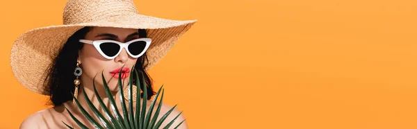 Panoramatická Plodina Stylové Ženy Slunečních Brýlích Slamáku Blízkosti Palmového Listu — Stock fotografie