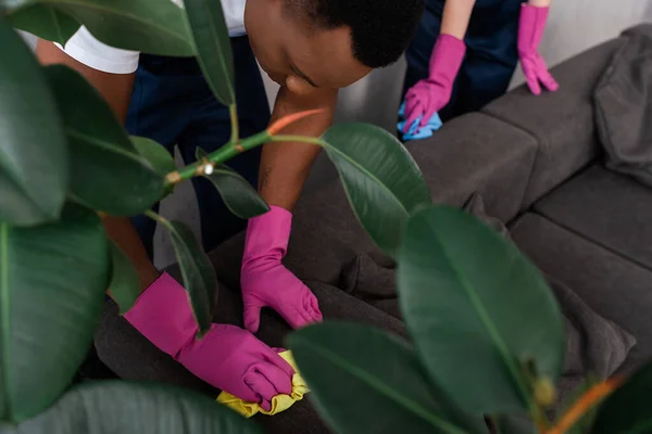 Selective Focus African American Cleaner Using Rag While Cleaning Couch — Stock Photo, Image