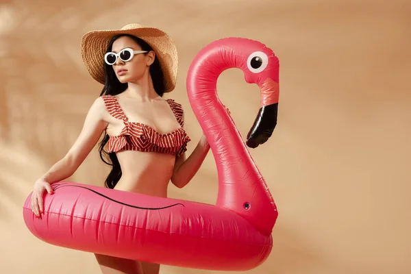 セクシーなブルネット女性で縞模様の水着 サングラスと麦藁帽子とともにインフレータブルフラミンゴ上ベージュ背景 — ストック写真