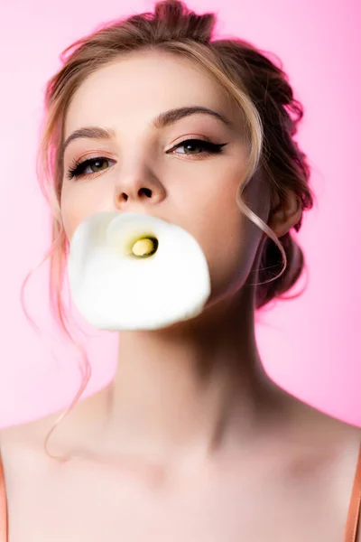 Bela Mulher Loira Segurando Calla Flor Boca Isolado Rosa — Fotografia de Stock